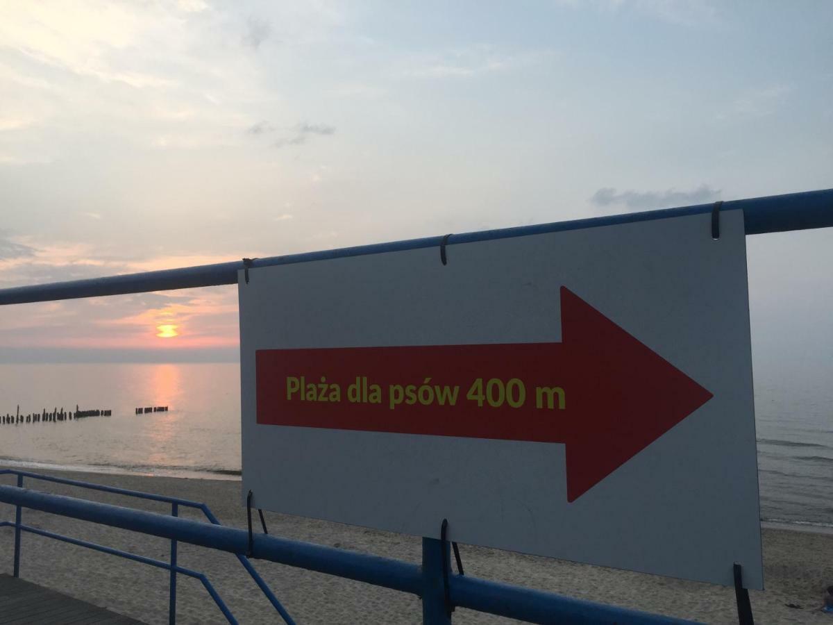 Apartamenty Blisko Plazy Podczele Kołobrzeg Buitenkant foto
